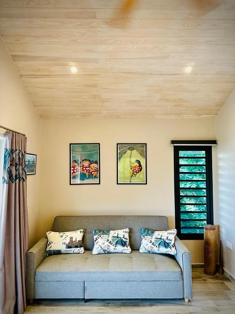 Tatil Evi Lilikoi Bungalow Uturoa Fransız Polonezyası